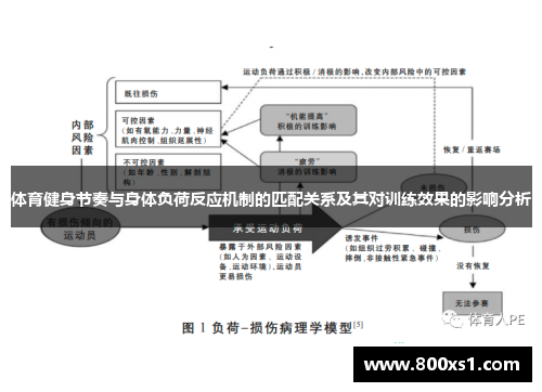 体育健身节奏与身体负荷反应机制的匹配关系及其对训练效果的影响分析