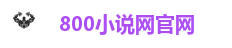 800小说网官网